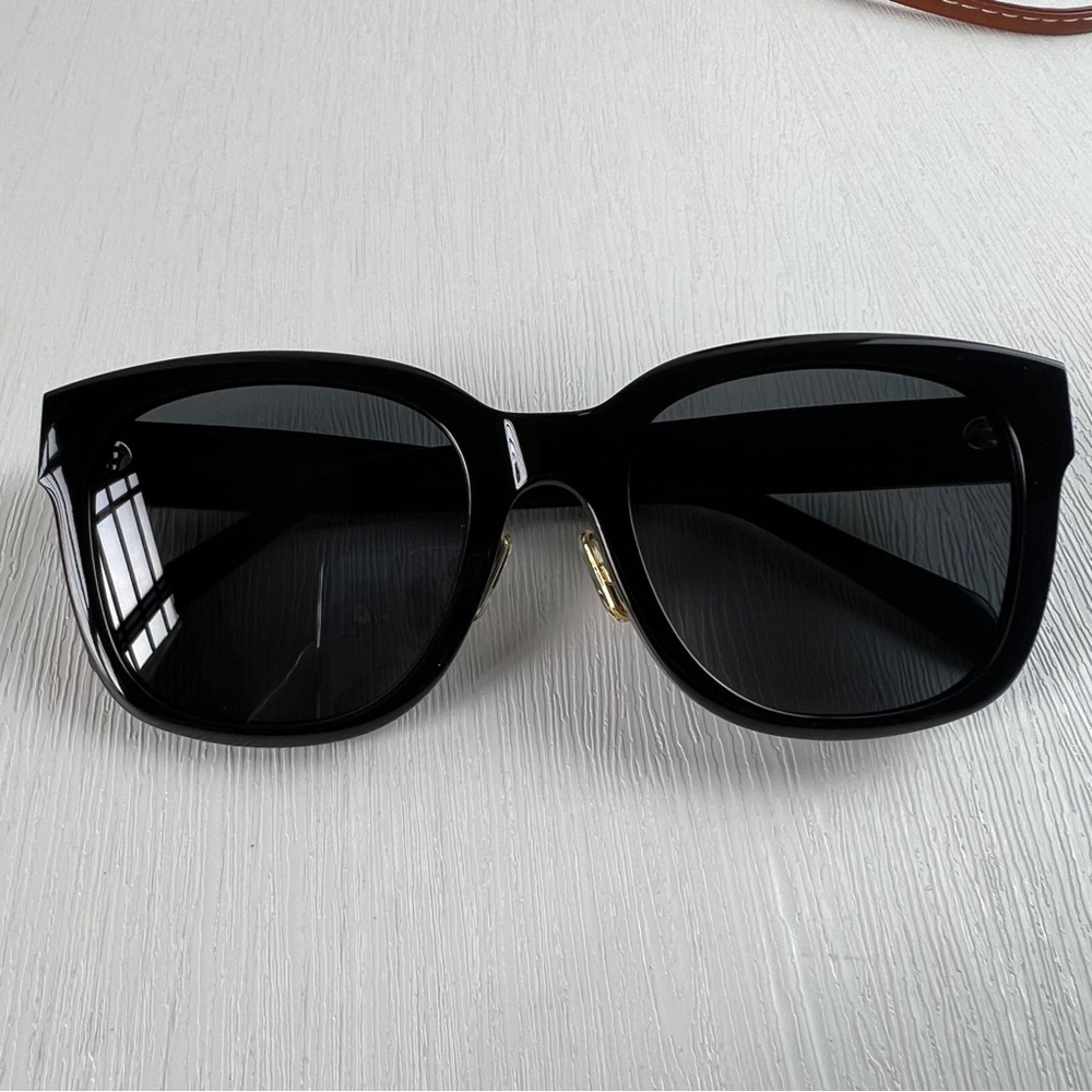 NO.498 Celine 
Acetate Triomphe Sunglasses CL40222F Black